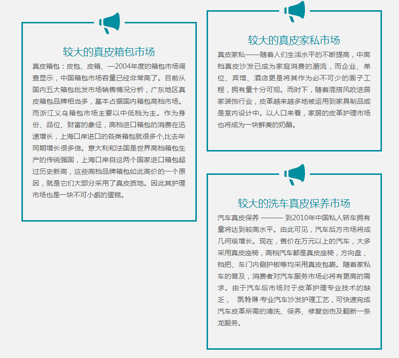 凯特琳洗衣+干洗店市场潜力分析2